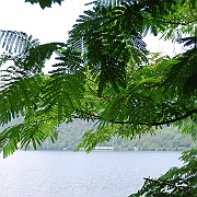 Picture 013